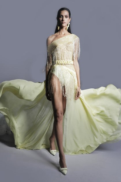 Beaded Tulle and Chiffon Fringe Gown