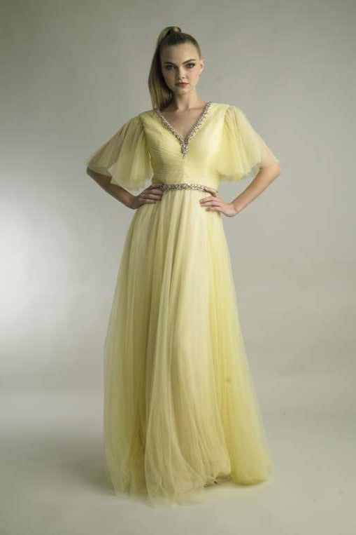 Pleated Flutter Sleeve Gown
