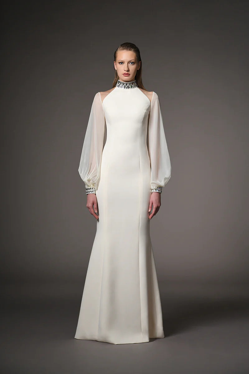 Long Puffy Sleeve Dress