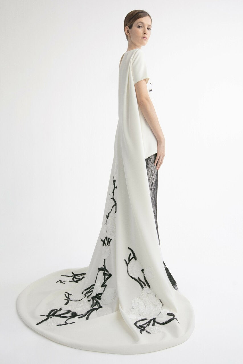 Overdress with Skirt