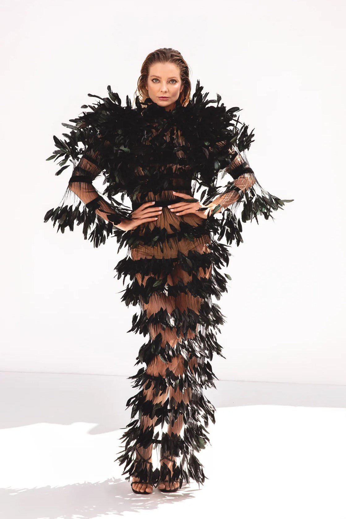 Ruffled Plume Sheer Dress