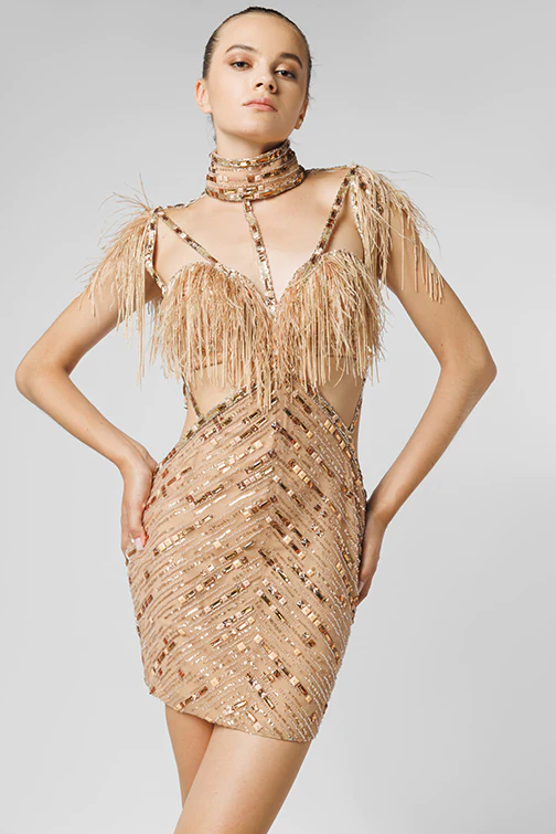 Embellished Feathered Mini Dress