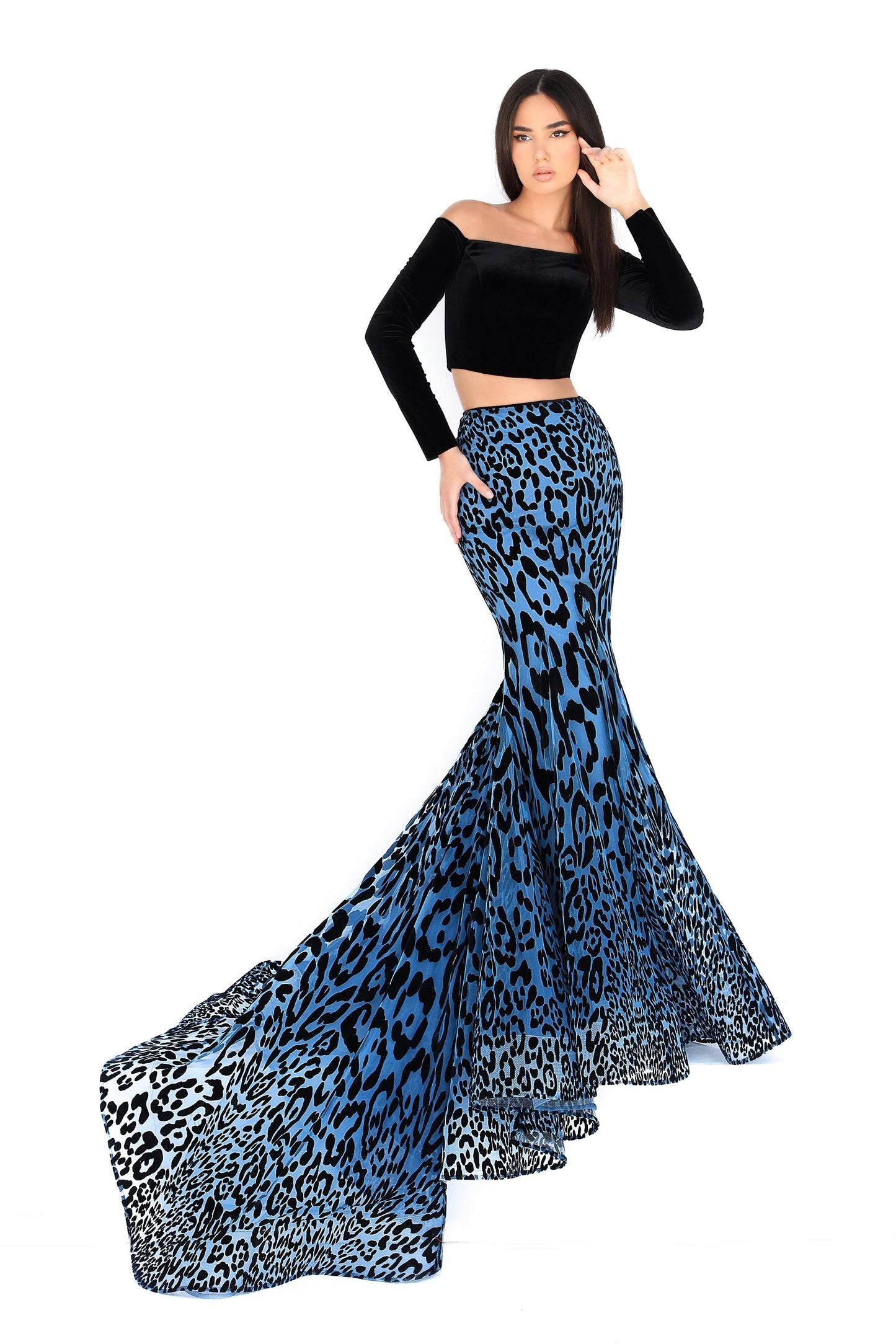 Spruce Long Sleeve Top and Skirt