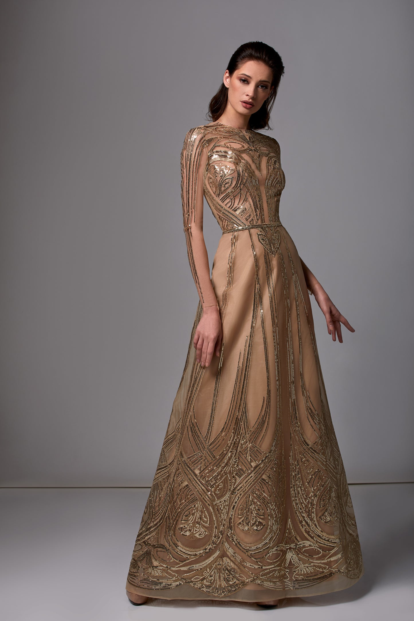 Embroidered Long Sleeve A-Line Gown