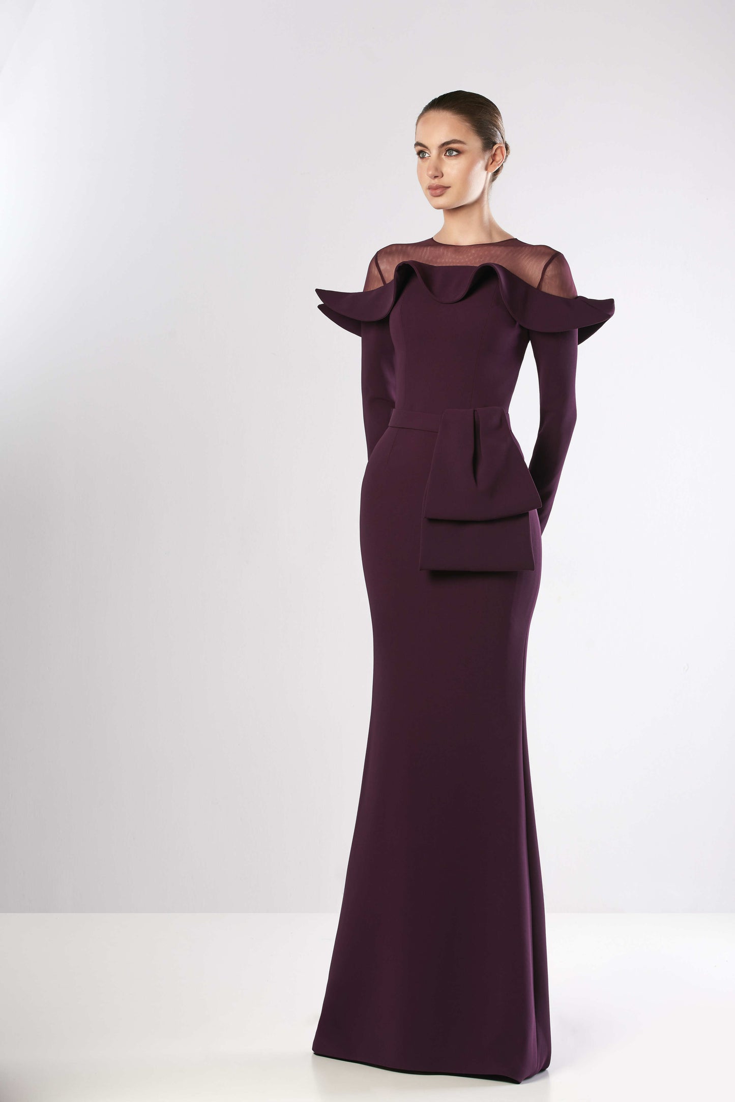 Sheer Neck Long Sleeve Crepe Gown
