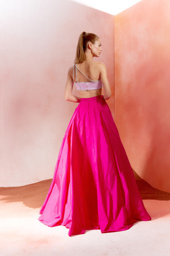 Crop Top and Ball Gown Skirt