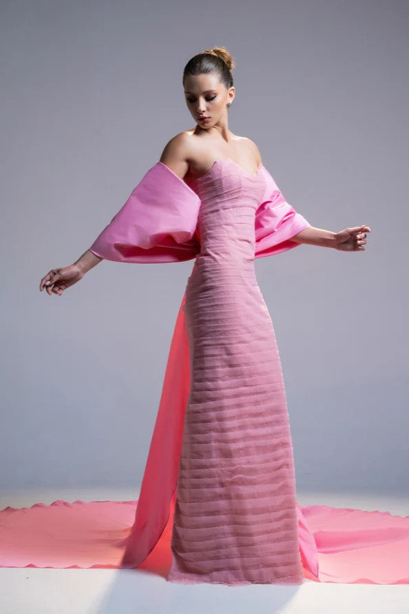 Dentelle and Taffeta Gown