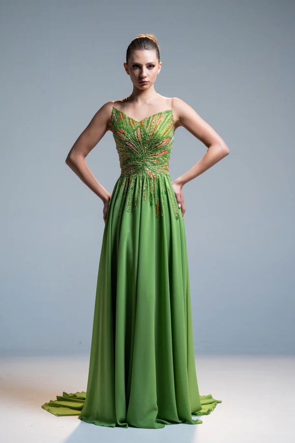 Georgette Embroidery Gown