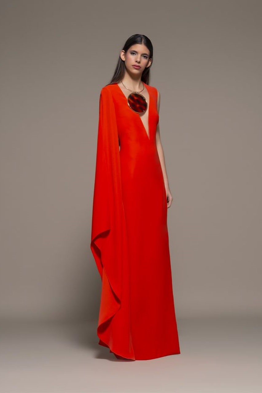 Bajardo Cape Sleeve Gown
