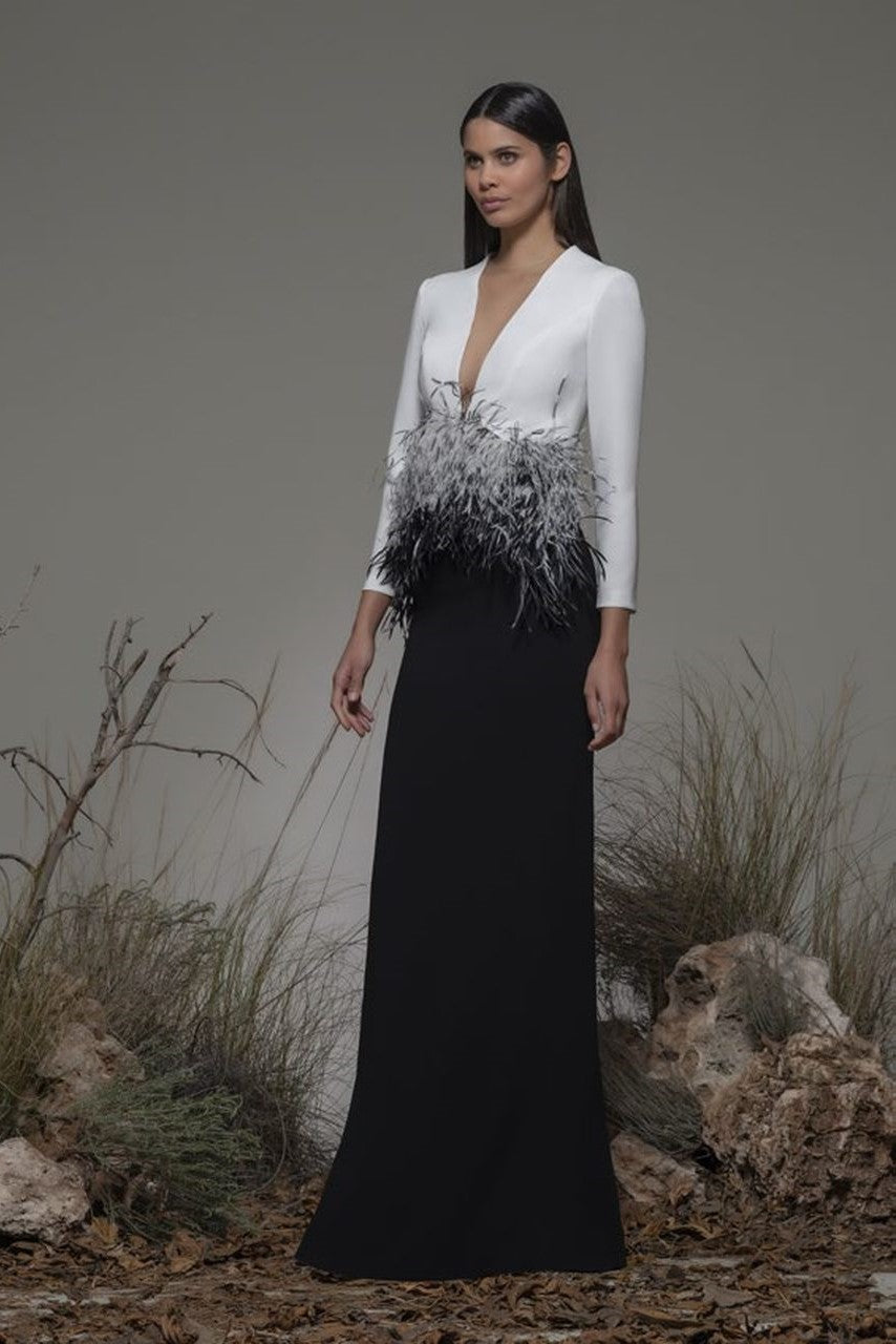 Bianchi ? Sleeve Feathered Gown