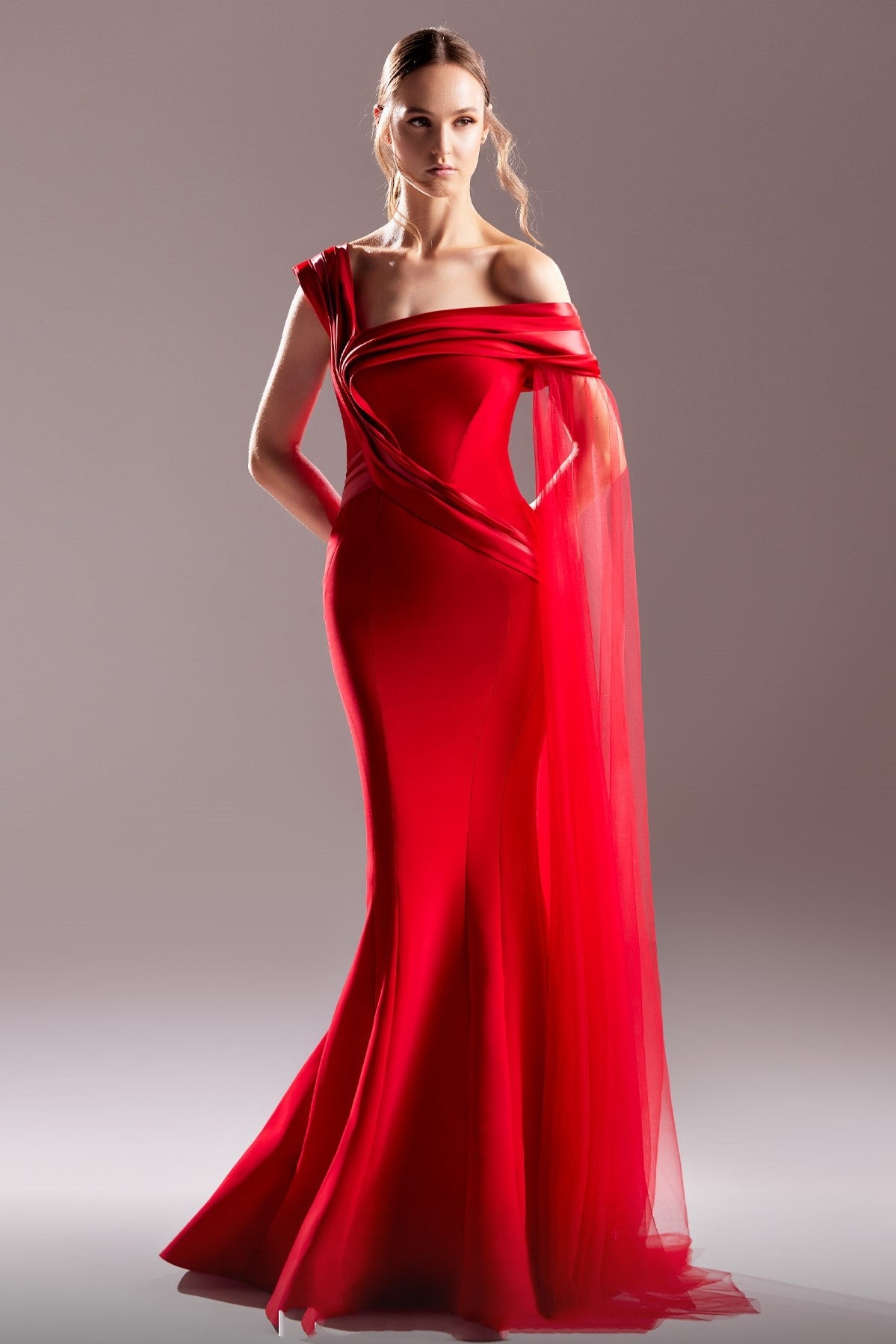 Organdie Gown with Floor-Sweeping Shawl