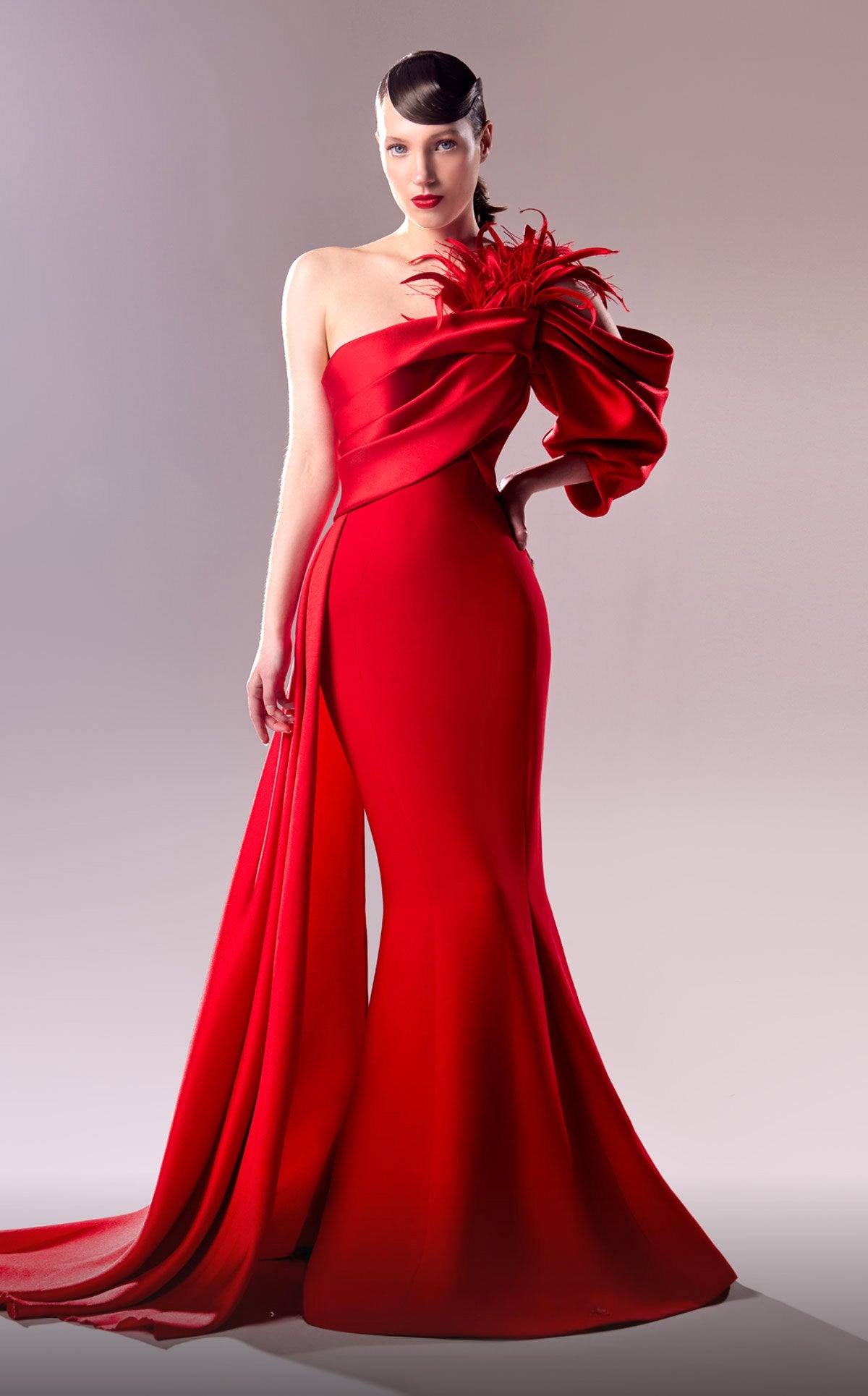 One Shoulder Draped Sleeve Gown with Feather Detail