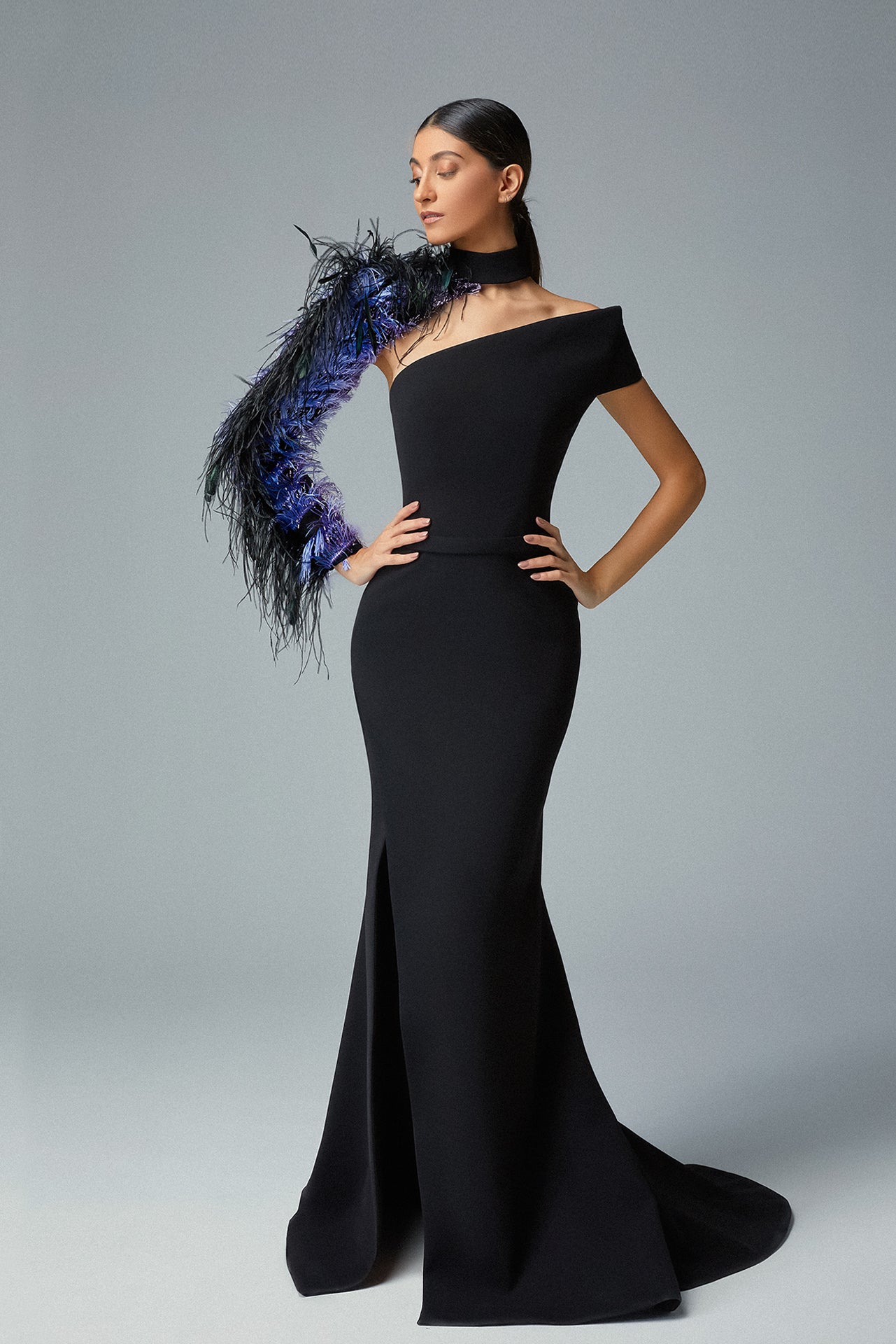 Ombre Feather Sleeve Gown