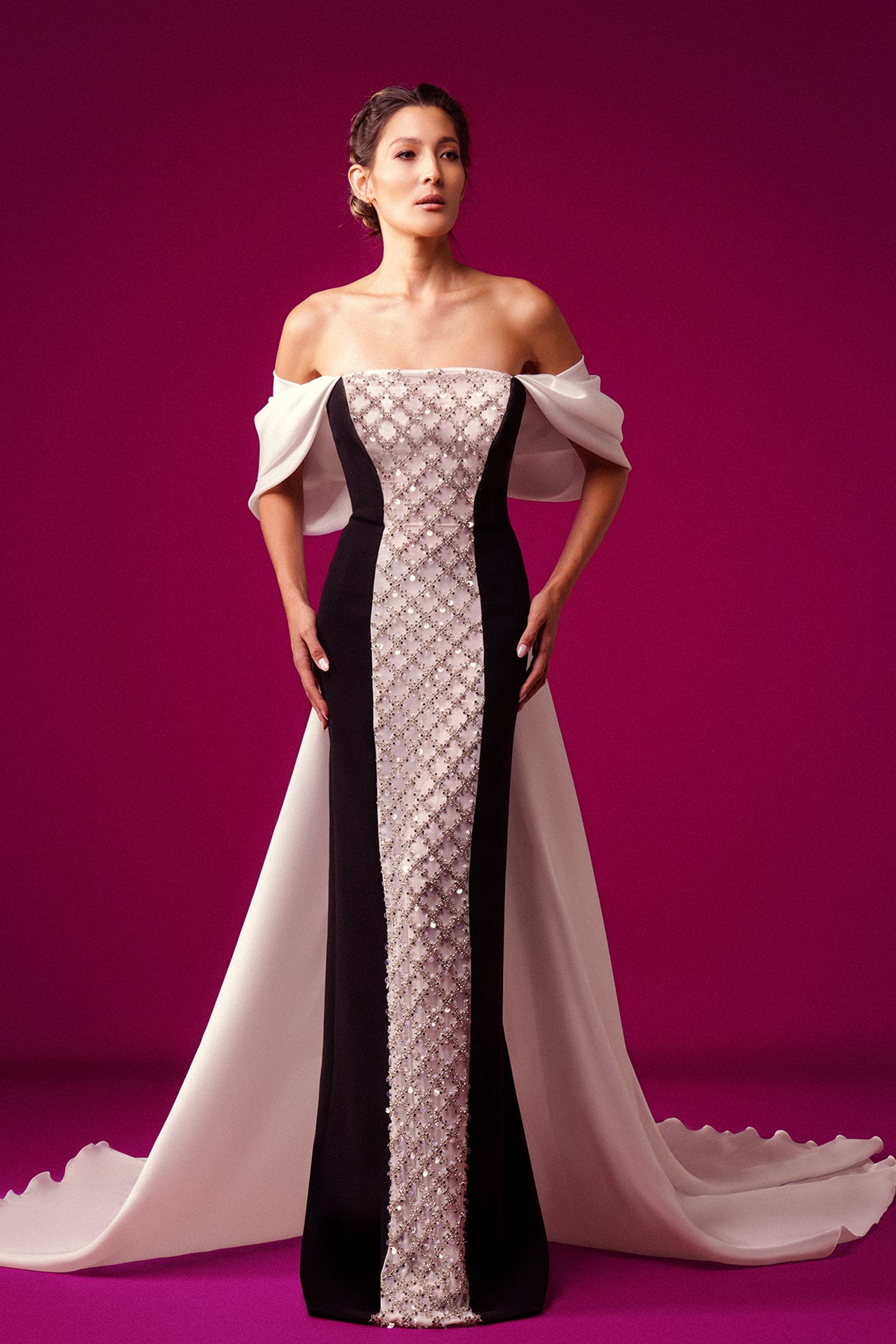 Organza Sleeve Off Shoulder Embroidered Gown