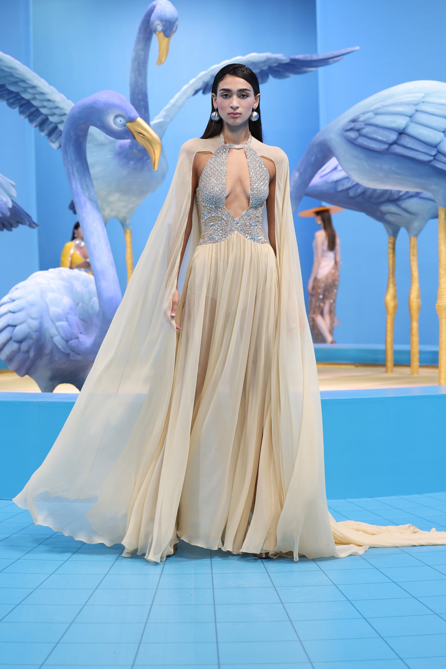 Georgette Gown with Shawl