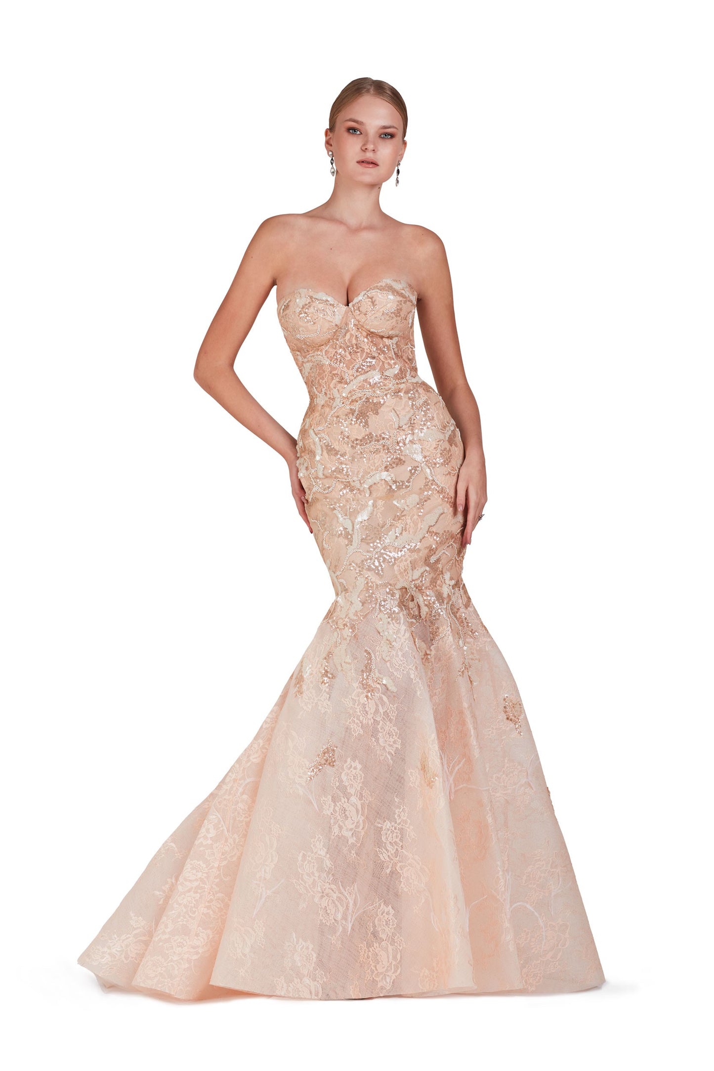 Strapless Fit and Flared Gown