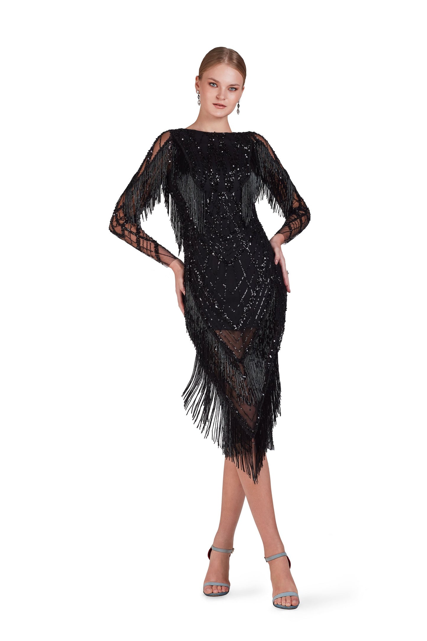 Lace Embroidered Long Sleeve Dress