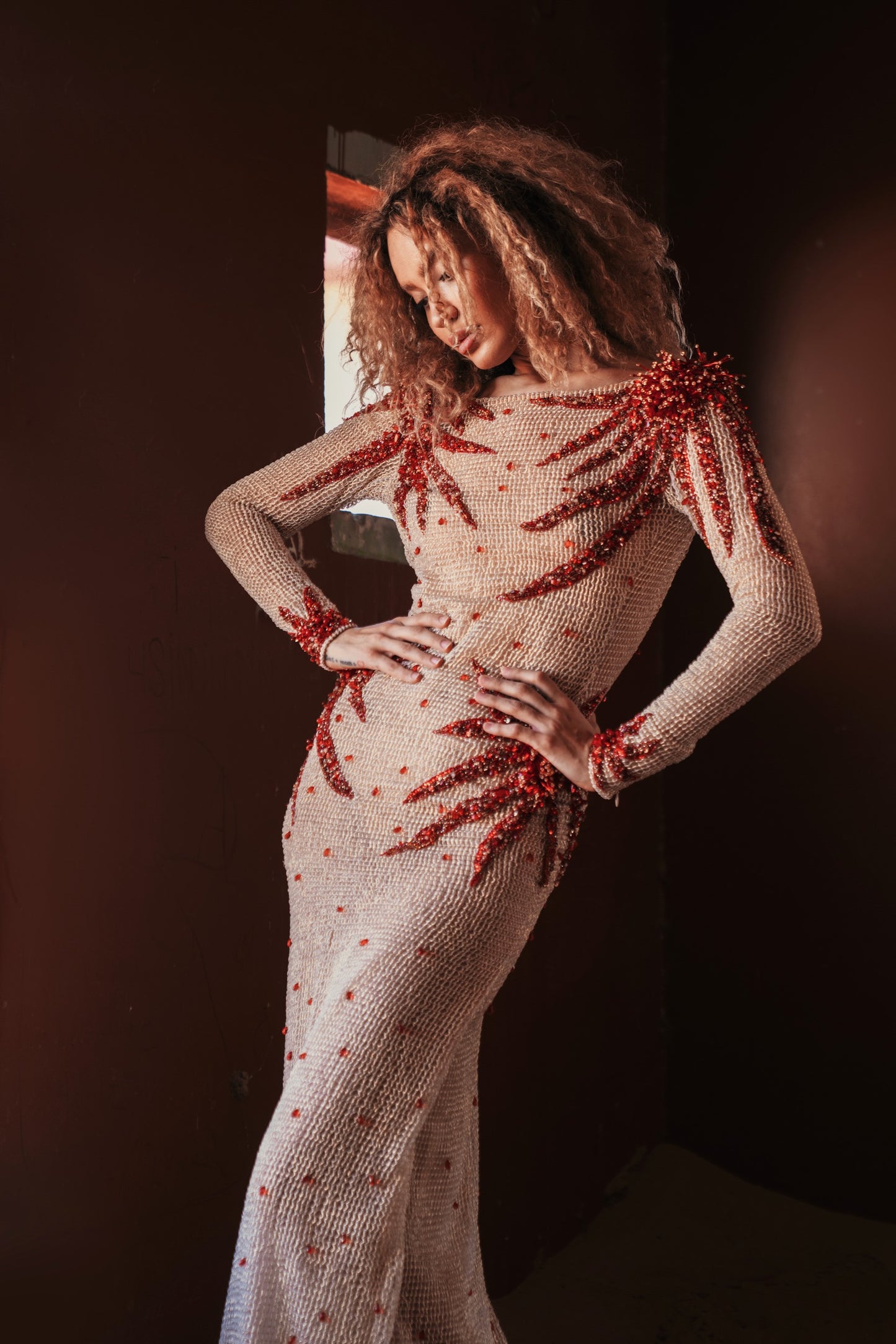 Long Sleeve Beaded  Gown