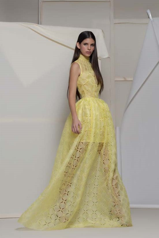 Alliste High Neck Sleeveless Gown