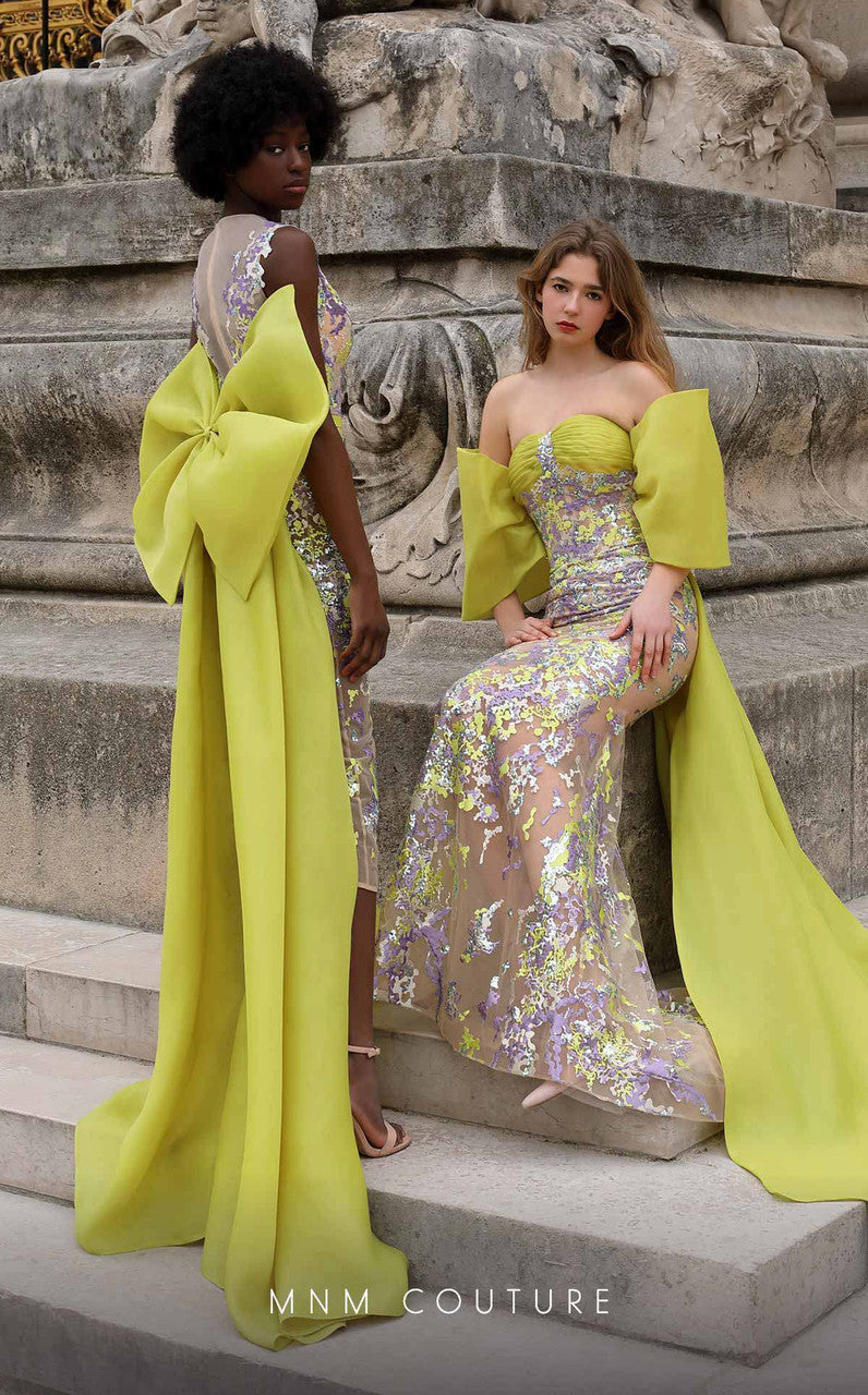 Organza Embroidered Fitted Gown