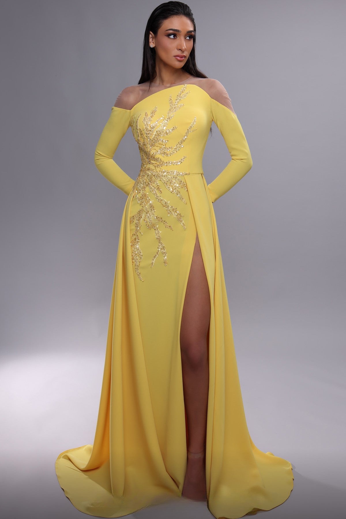 Long Sleeve Embellished Illusion Gown