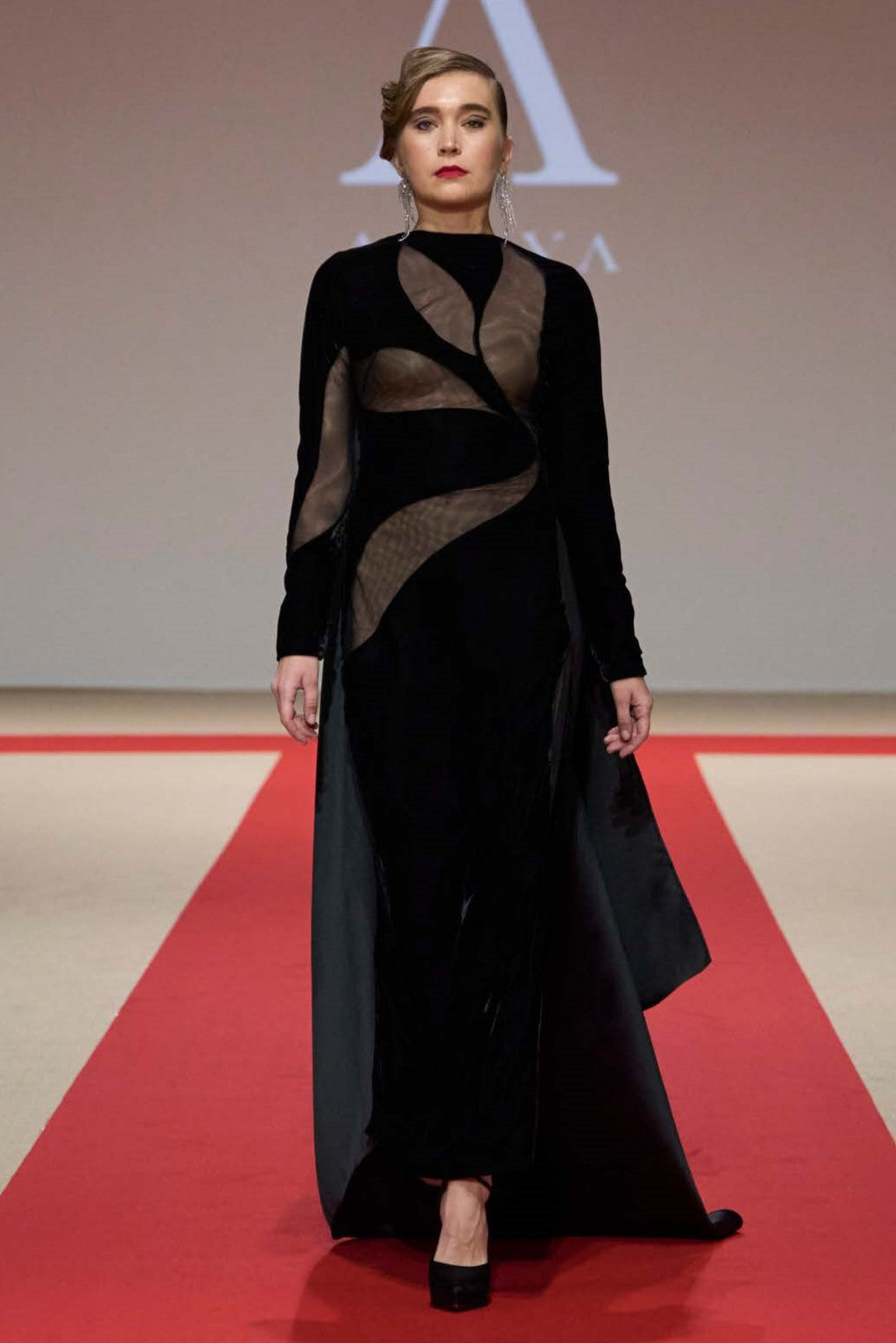 Semi-Sheer Long Sleeve Gown