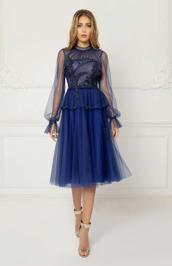 Sheer Long Sleeve Embroidered Tulle Dress