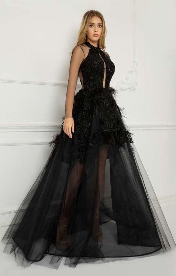 Embroidered Feathered Long Sleeve Gown