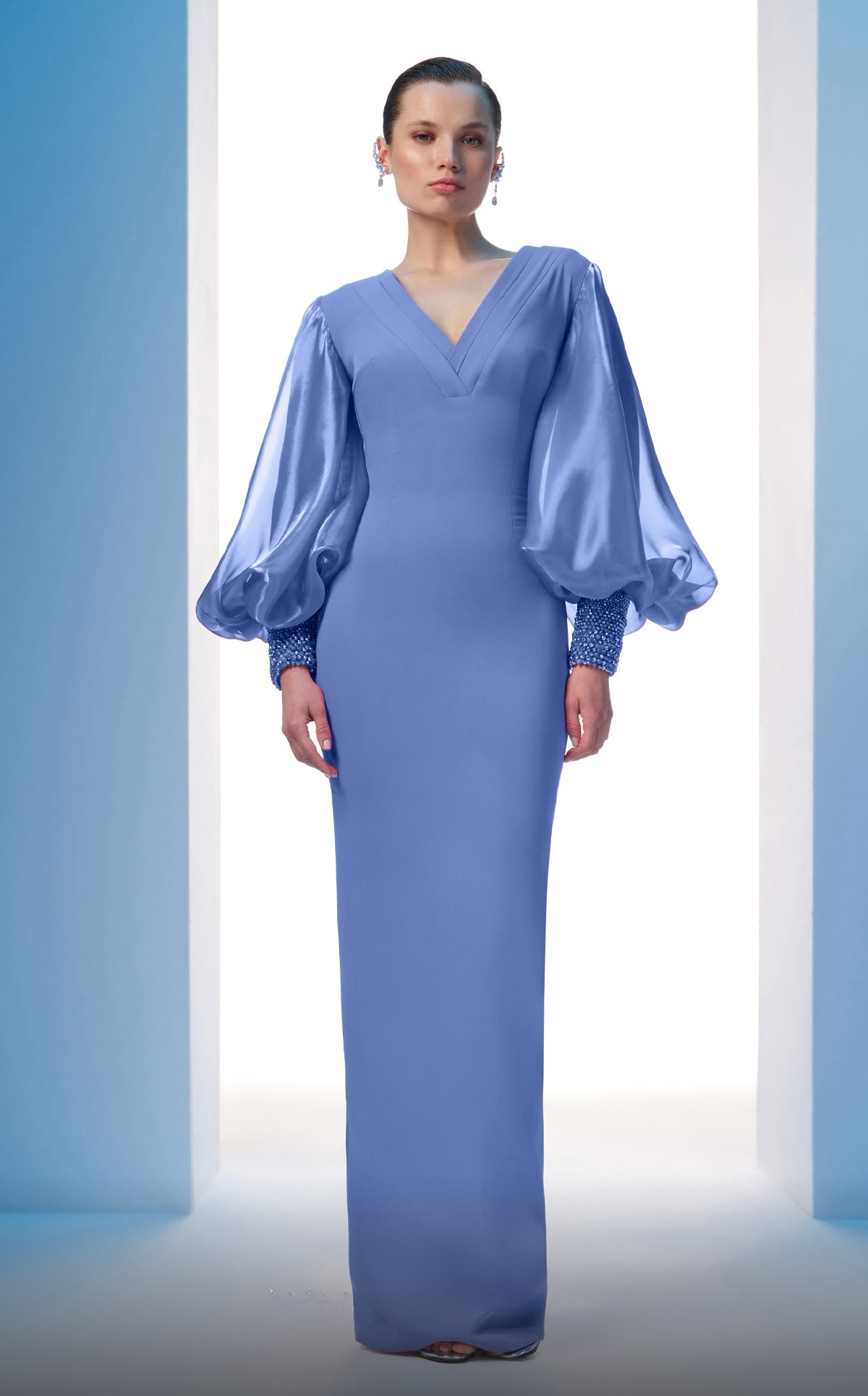 Long Balloon Sleeved Column Gown