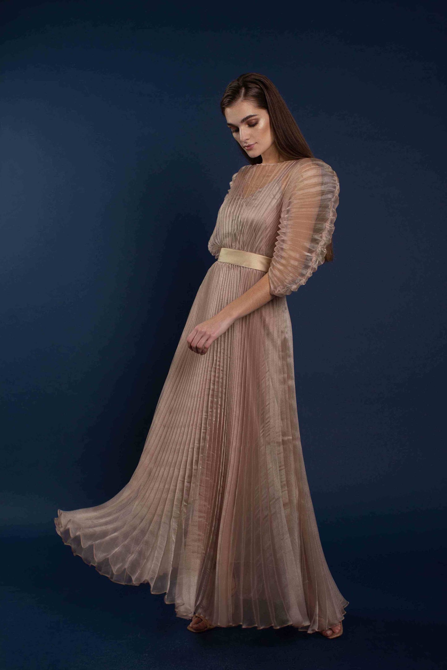 Nina Pleated Fan Sleeve Dress