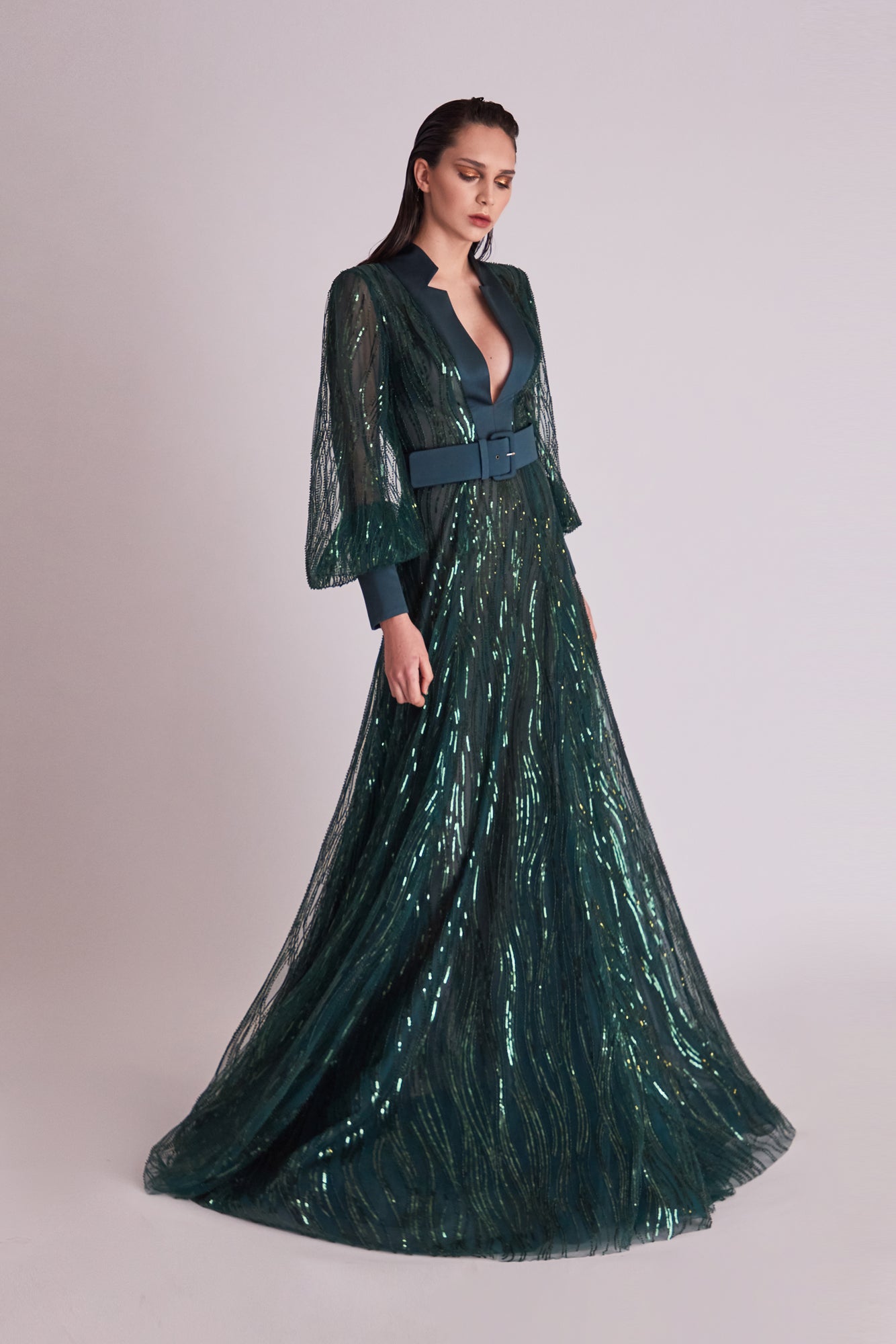 Long Sheer Sleeve Embellished Gown