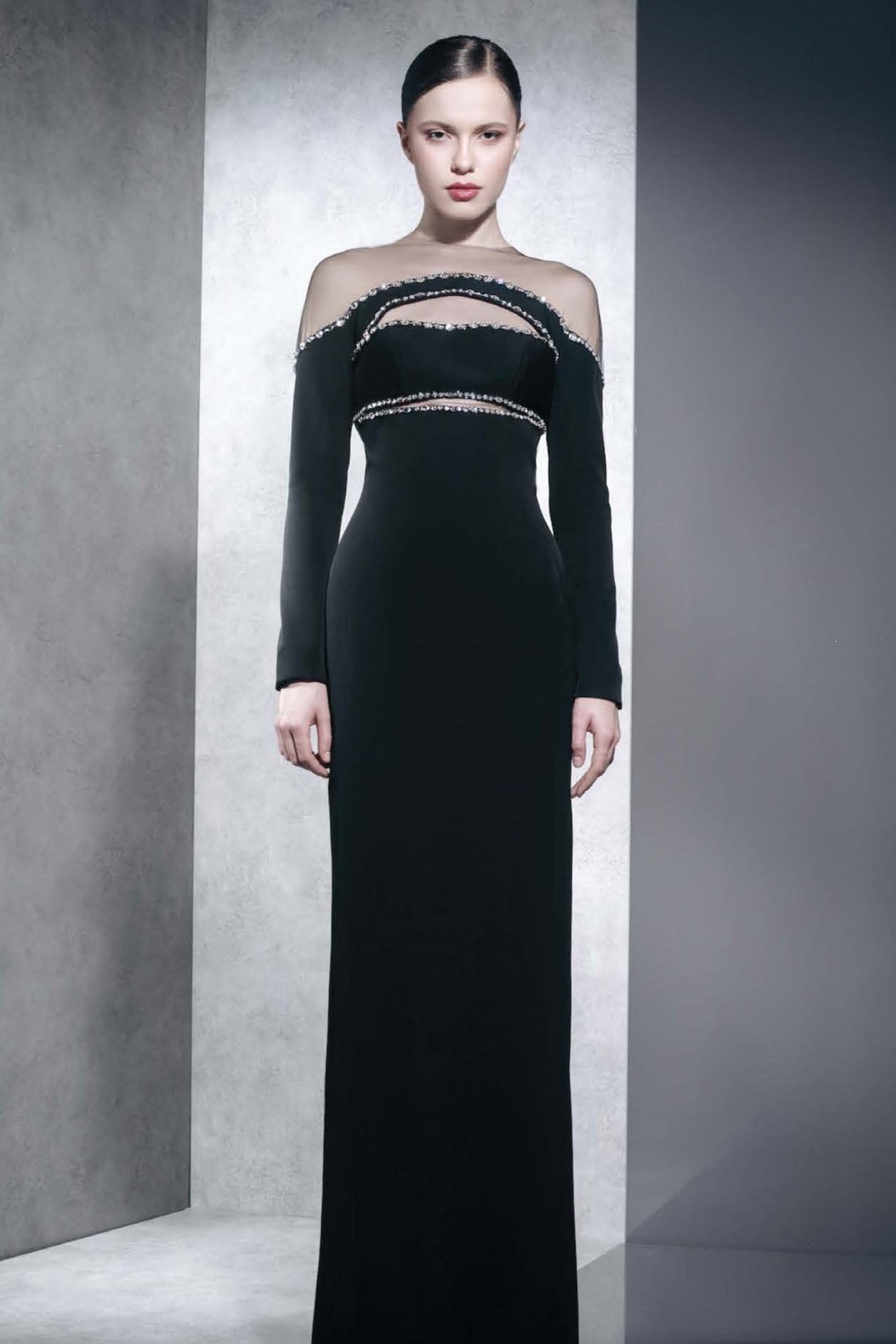 Embellished Illusion Neck Column Gown