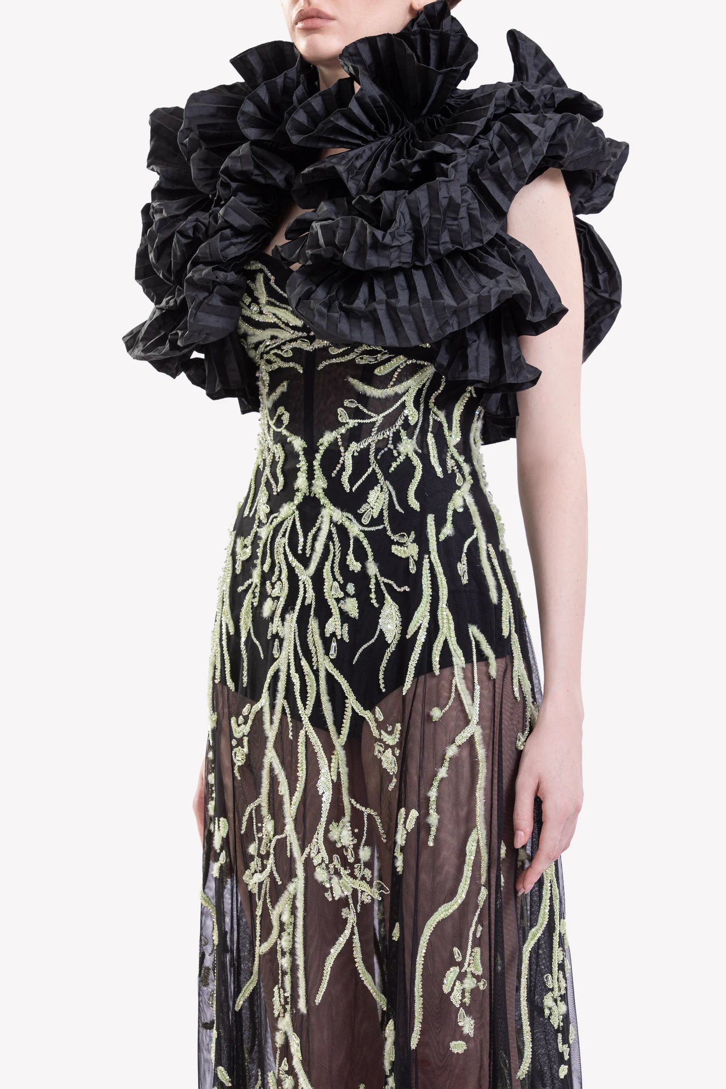 Embroidered Sheer Dress