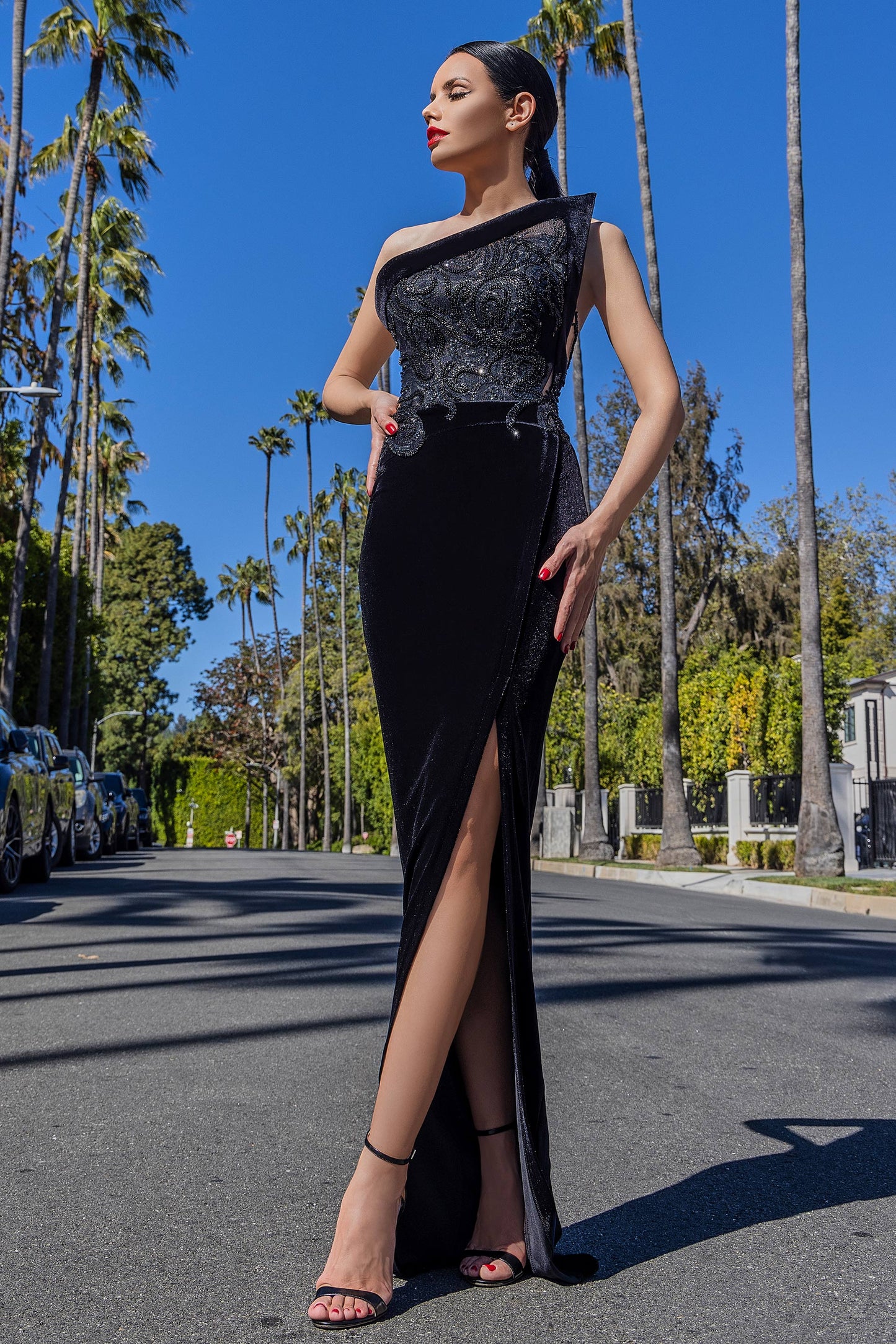 Tattoo Lace Velvet Gown