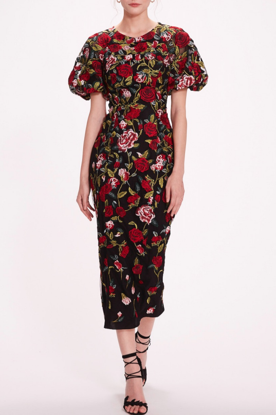 Floral Embroidered Tulle Dress