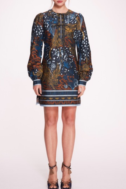 Long-Sleeve Printed Mini Dress