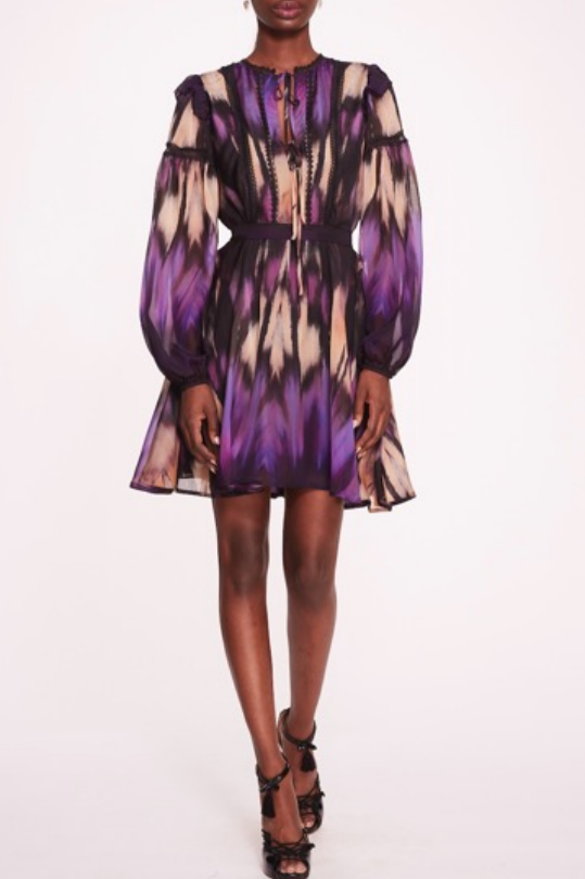 Long Sleeve Printed Silk Dress