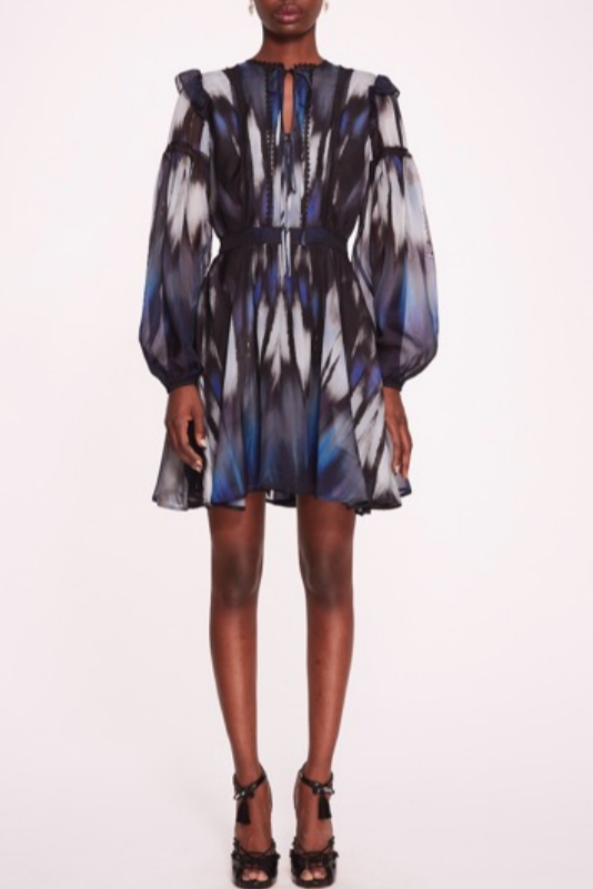 Long-Sleeve Printed Silk Dress