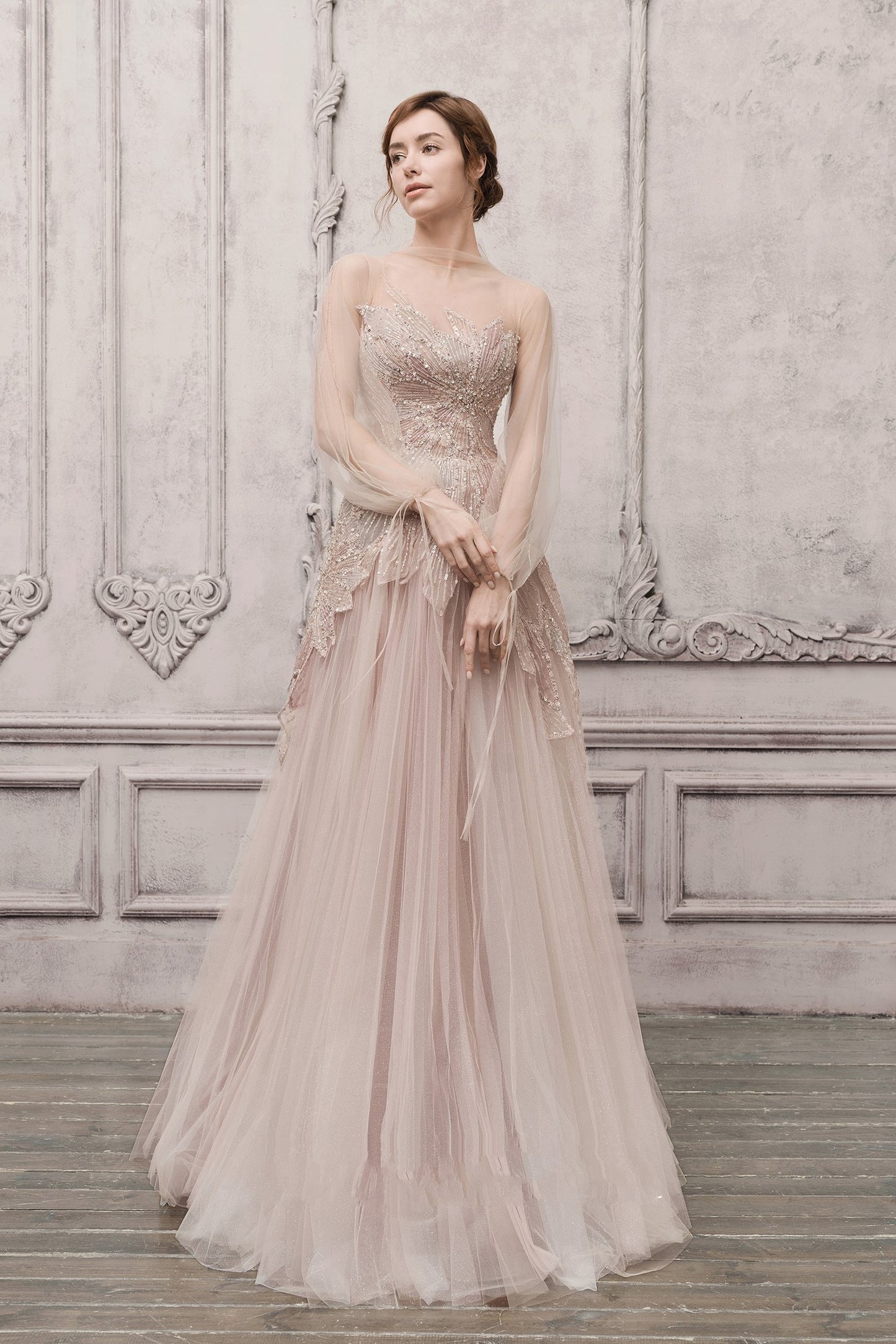 Sheer Illusion Embellished Gown