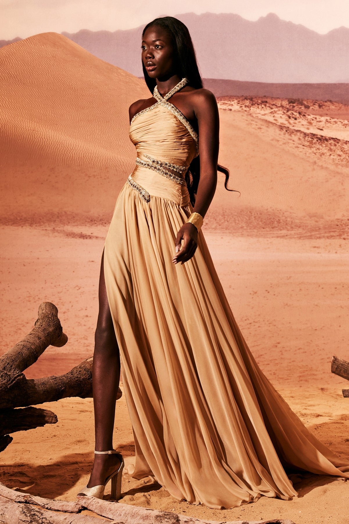 Snake-Like Embroidered Gown