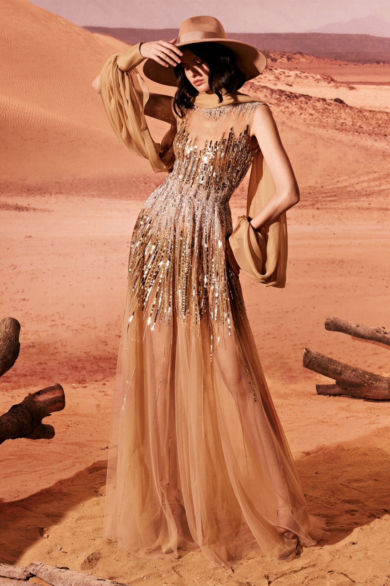 Degraded Sequin Tulle Gown