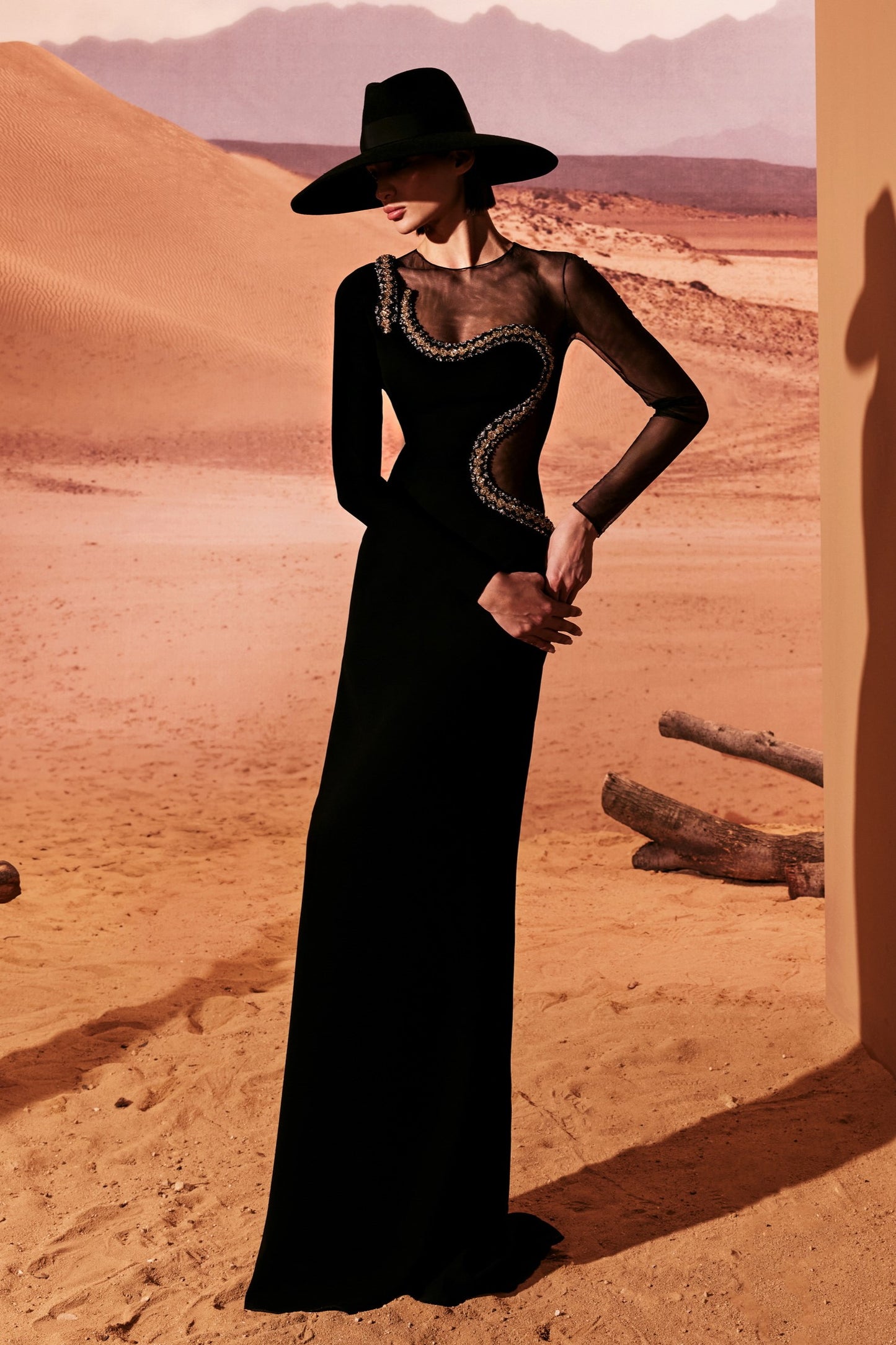 Sheer Cutout Crepe Gown