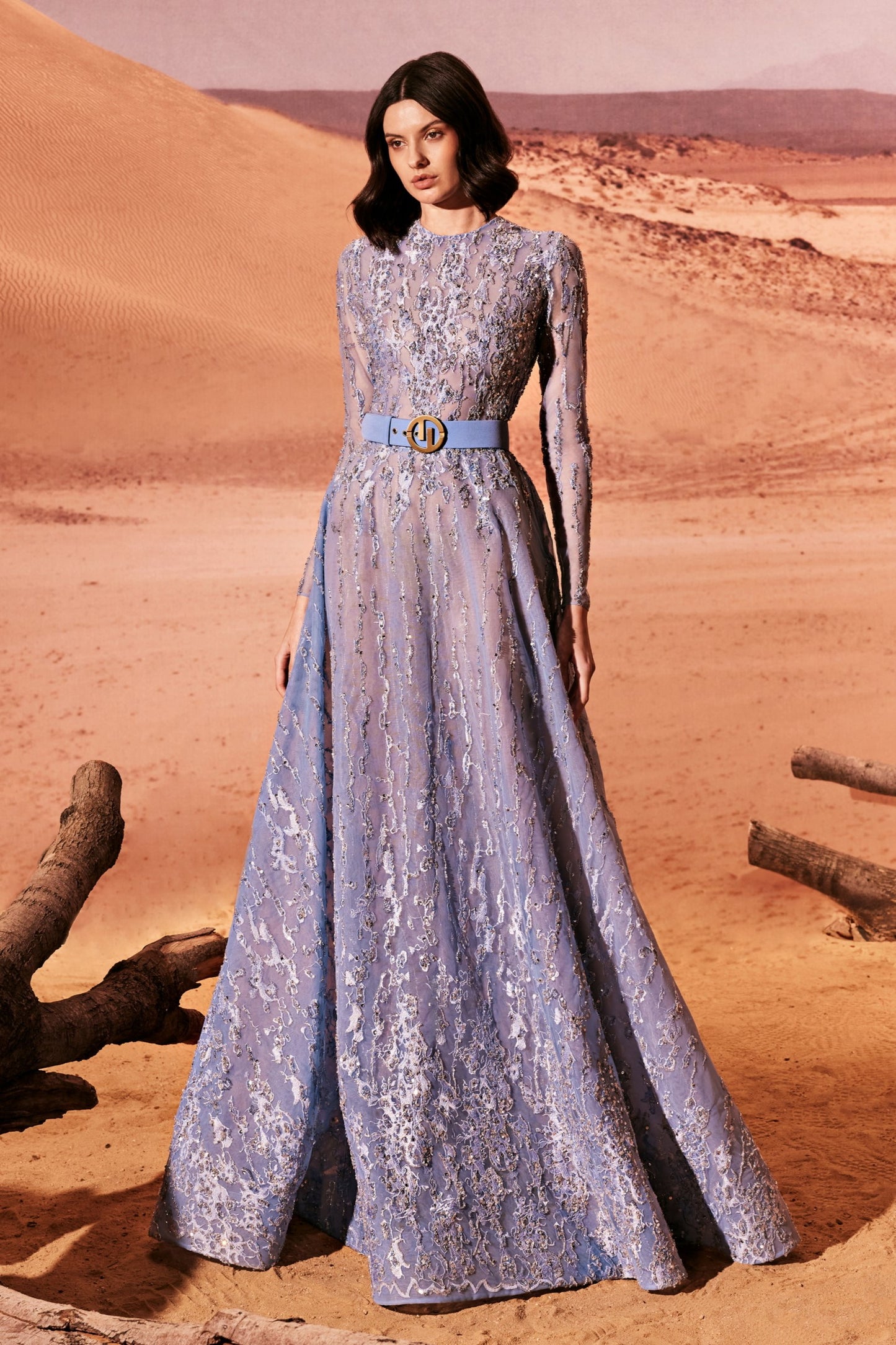 A-Line Long Sleeve Tulle Gown