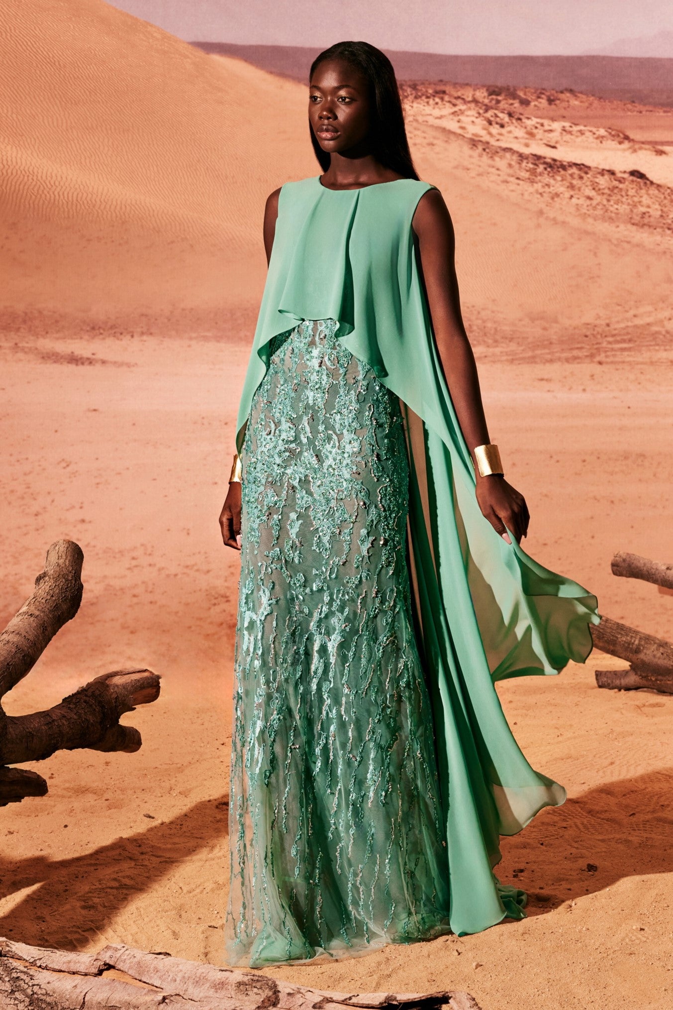 Tulle Gown with Georgette Cape