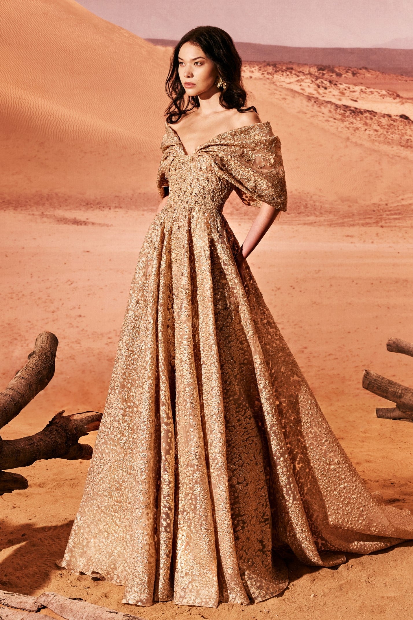 Organza Jacquard Off Shoulder Gown