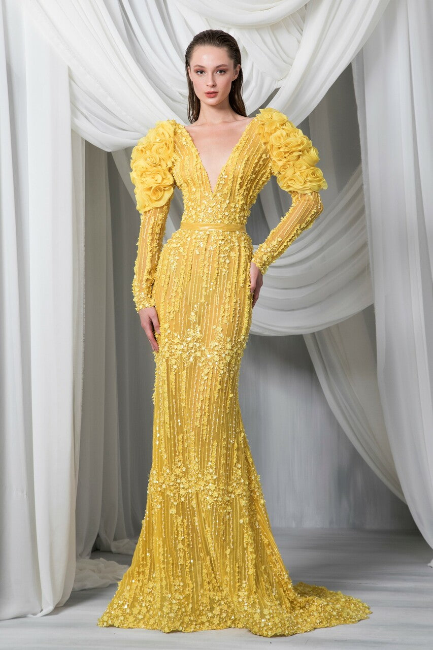 Long Sleeve V-Neck Tulle Gown