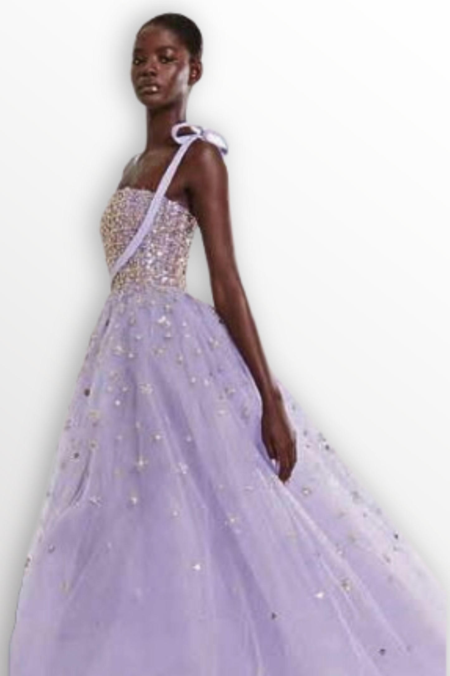 Tulle Embroidered A-Line Gown