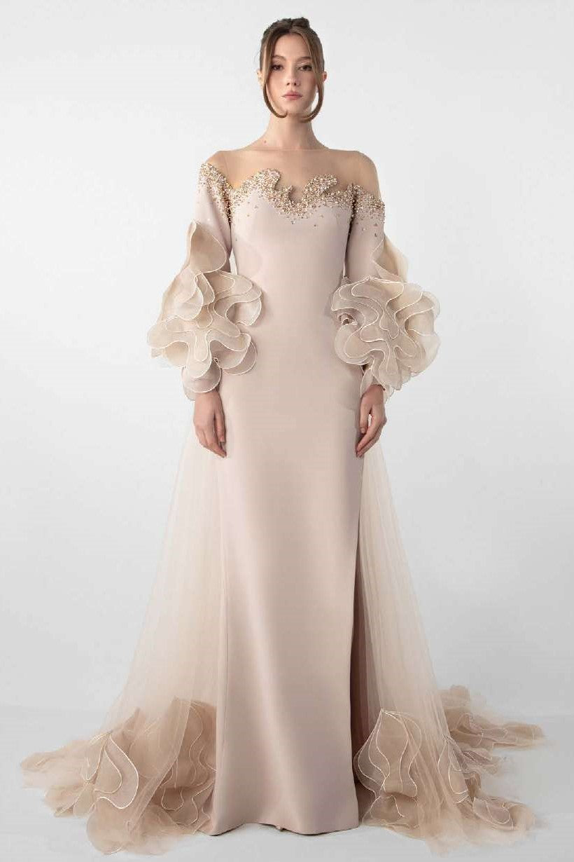 Organza Sleeve Illusion Gown