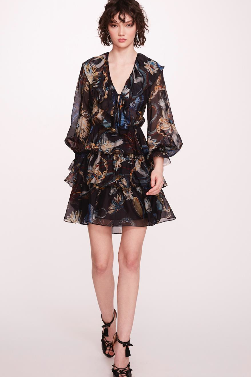 Printed Long Sleeve Mini Dress