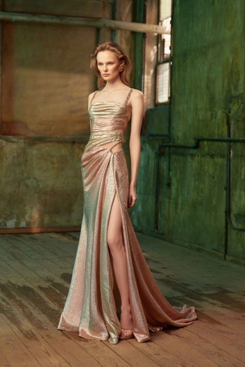 Irisee Two Tone Dress